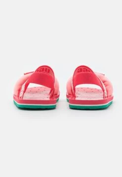 Ugg Zuma Sling Stuffie Unisex - Sandaler - Watermelon -Ugg 7dd52509e09a4c0fb48c2f61a1b71d3a