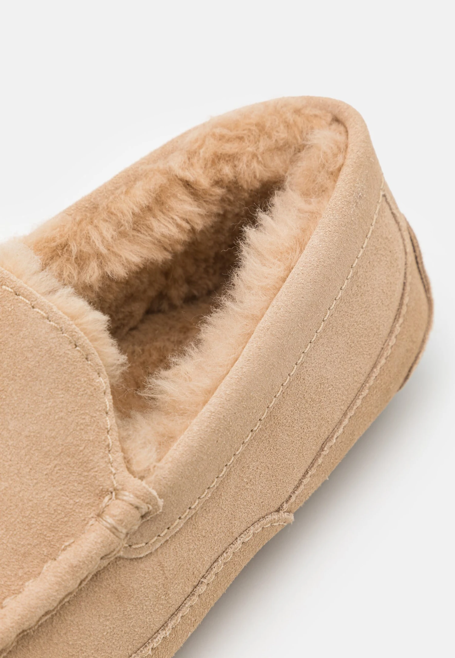Ugg Ascot - Tøfler - Sand 6 Ugg Ascot - Tøfler - Sand - Bilde 6